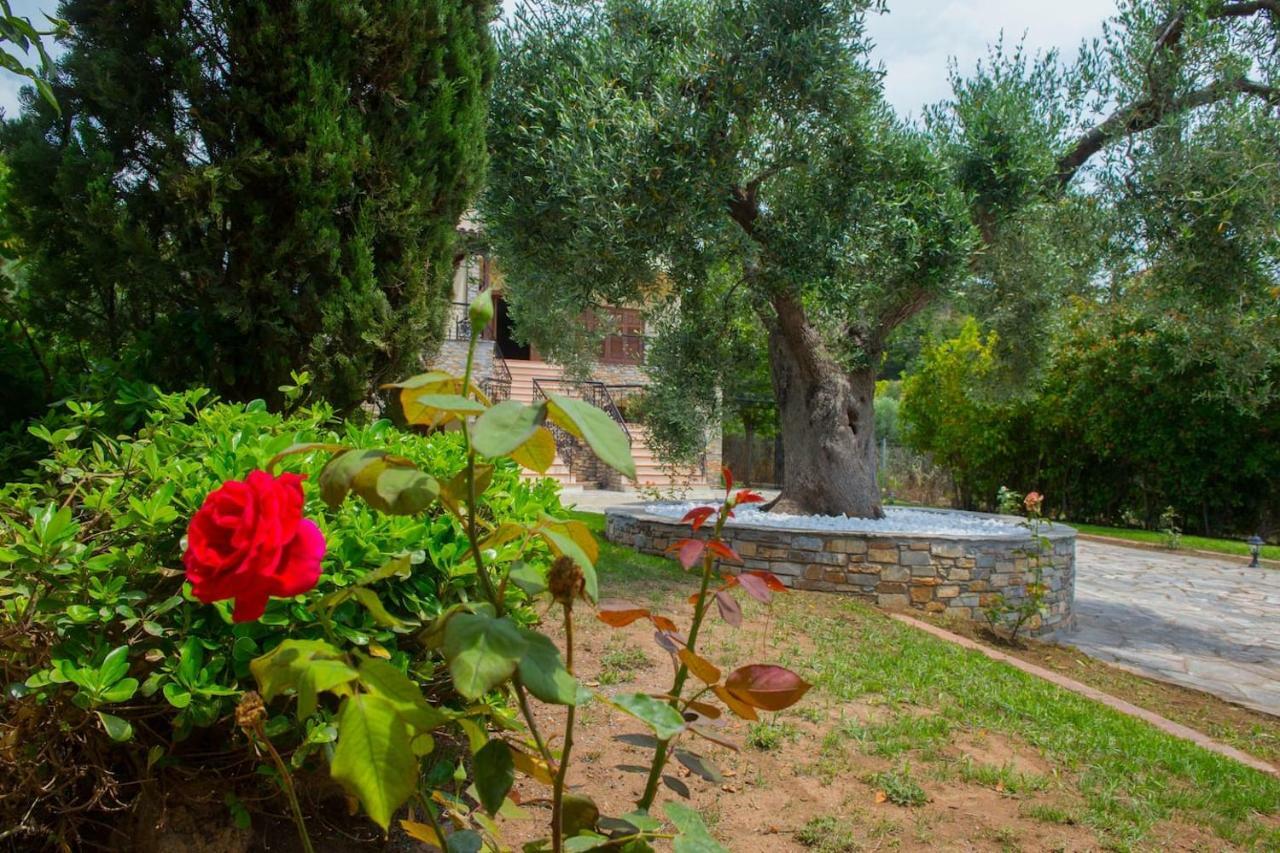 Villa Anna Nea Skioni Exterior foto